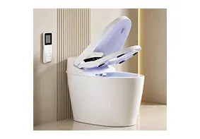Smart Toilet